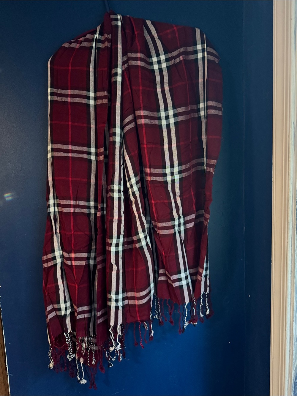 Red Plaid Fringe Scarf
